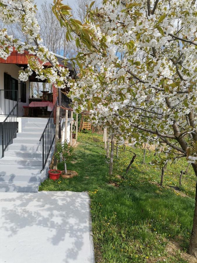 Villa Marijana Varazdinske Toplice Esterno foto