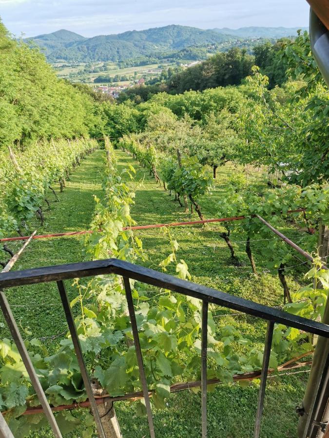 Villa Marijana Varazdinske Toplice Esterno foto